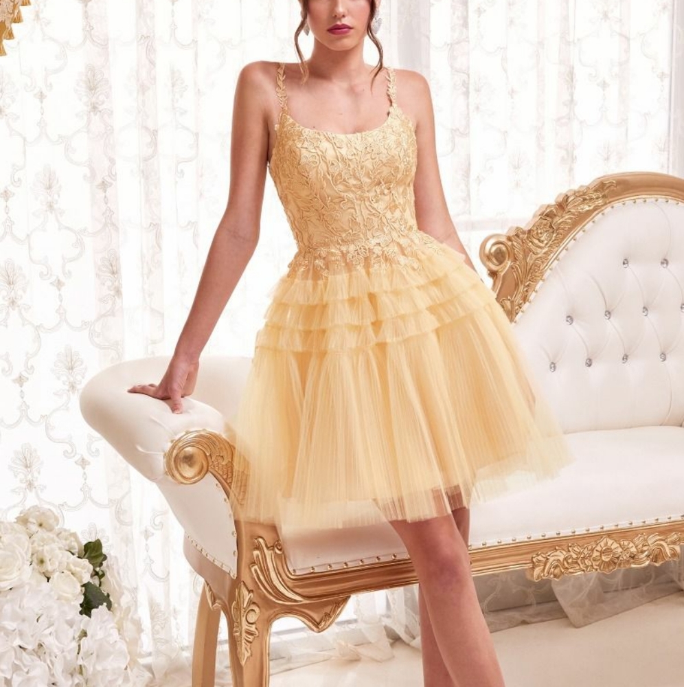 Formal dress - Picture 8 of 9
